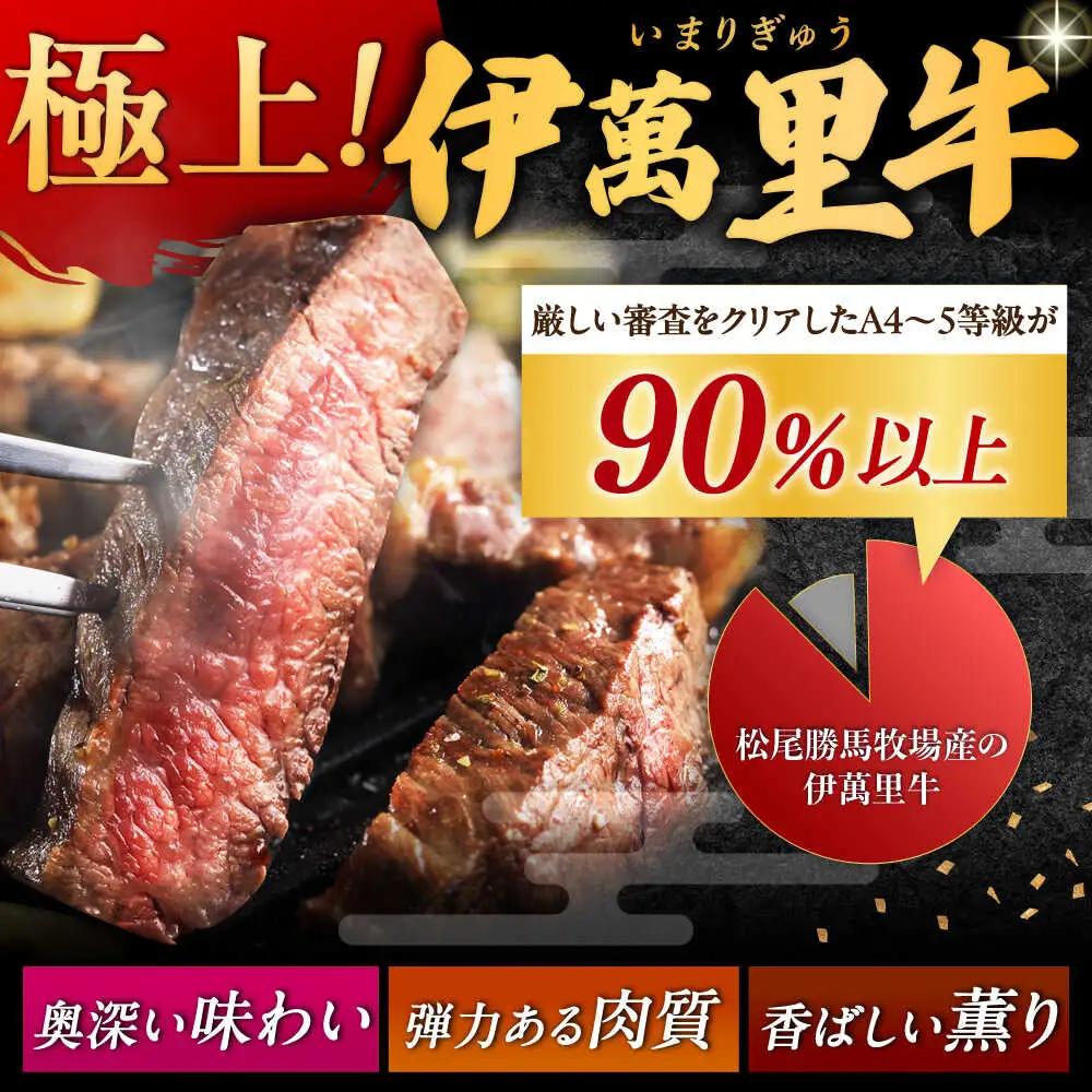 伊萬里牛赤身ブロック 500g / 佐賀県 / まつお食肉卸株式会社 [41AECZ001]