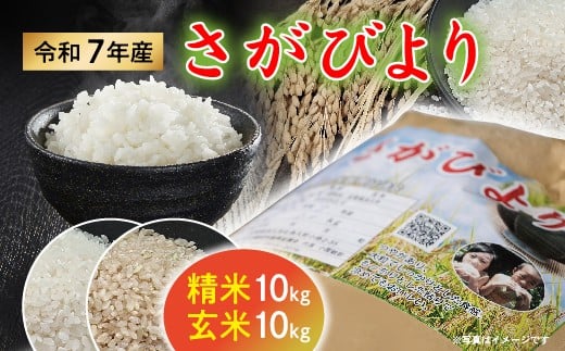 令和７年産 さがびより 精米 白米 10kg＋玄米 10kg【数量限定】 _p-16