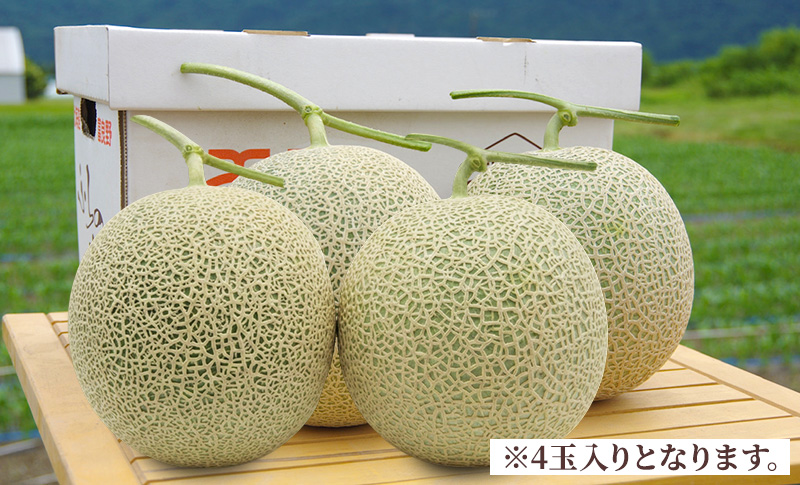 ＜2026年発送＞富良野メロン (赤肉) 夏ギフト 品種おまかせ 