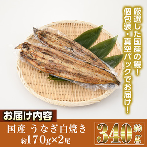 国産 うなぎ 白焼き (約170g×2尾) 国産 鰻 ウナギ 小分け 真空包装 真空パック 【AW-19】【丸正水産】