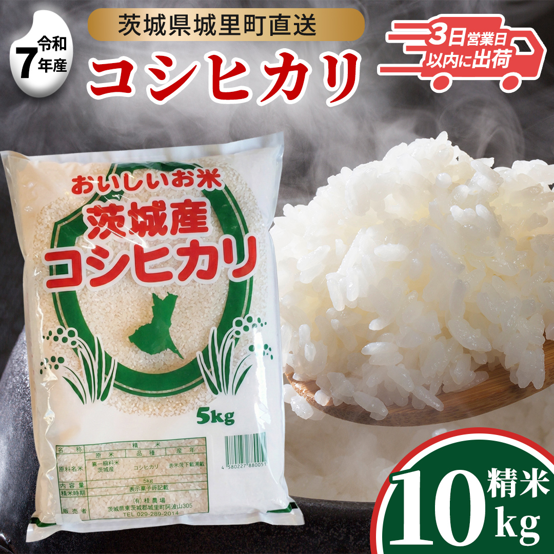 【令和7年産】 コシヒカリ 精米 10kg  (5kg×2袋)  スピード発送