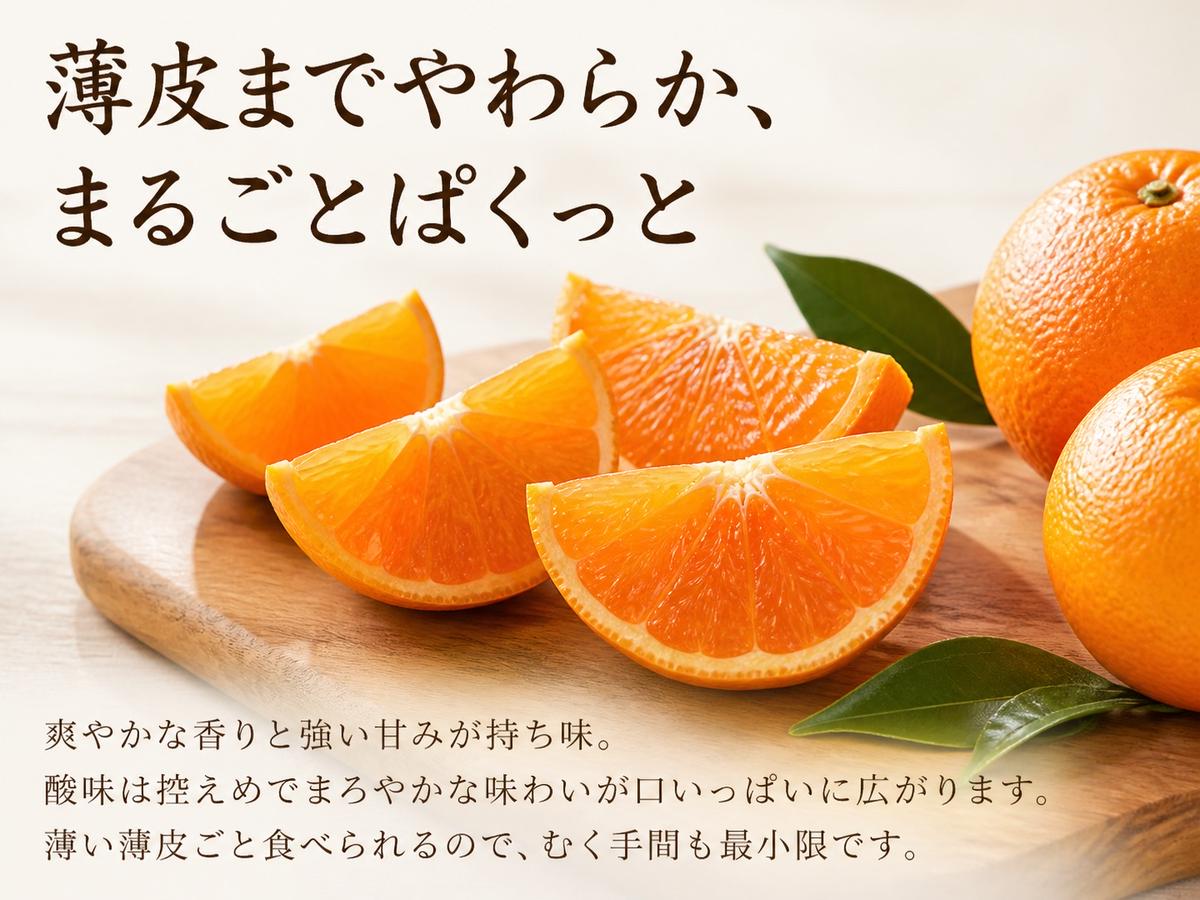 紀州和歌山有田産ポンカン 5kg