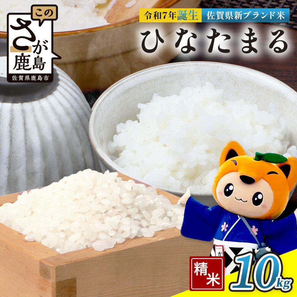 【ふるさと納税】ひなたまる10kg(5kg×2)白米｜特別栽培米【ひなたまる 令和7年誕生 新ブランド米】【生産者直送】幸せと笑顔を届ける元氣のお米｜佐賀県特別栽培農産物｜化学農薬・化学肥料不使用｜新米 精米 有機肥料 佐賀県 鹿島市 E-176
