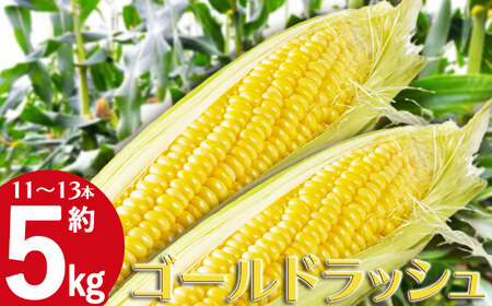 【ふるさと納税】【先行予約】【6月下旬から順次発送】下野市産とうもろこし「ゴールドラッシュ」 約5kg(11～13本) |  旬 野菜 送料無料 栃木県 特産