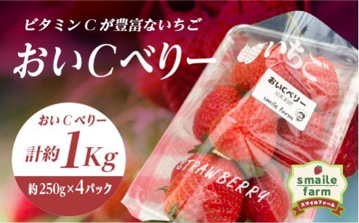 スマイルファーム ビタミンCが豊富ないちご おいCべりー 約1kg FAF-0042