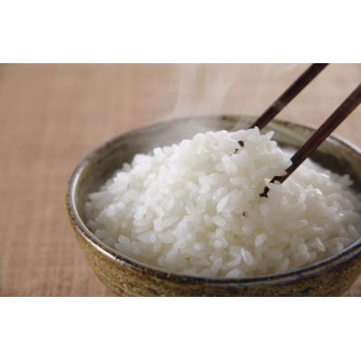 ふるさと納税 田村市 【令和7年産】田村市産天のつぶ10kg(5kg×2袋) |  | 02