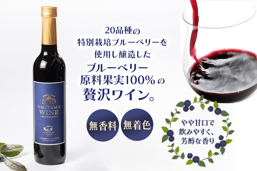 小美玉ブルーベリーワイン2本セット