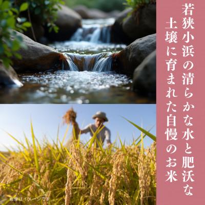 ふるさと納税 小浜市 【毎月定期便】こしひかり白米10kg全4回 |  | 01