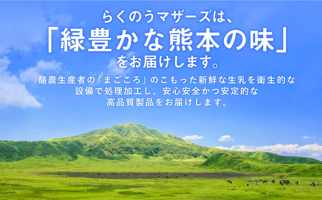 【12ヶ月定期】らくのう特濃4.3 1000ml×6本×12ヶ月 計72本 加工乳