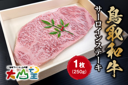 大山望 鳥取和牛 サーロインステーキ 1枚250g 牛肉 和牛 お肉 ステーキ