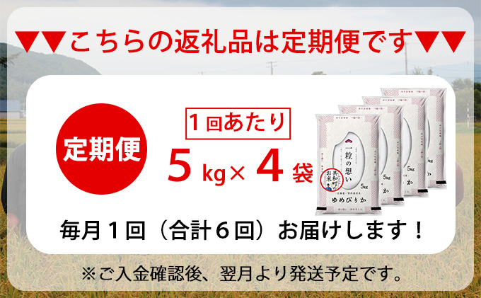 令和5年産 定期便 6ヵ月連続お届け ゆめぴりか 20kg 精米 北海道 共和町