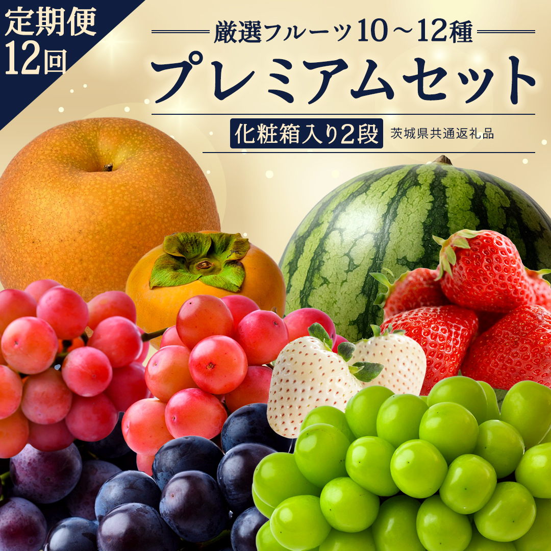 定期便【化粧箱入り2段】厳選フルーツ10〜12種プレミアムセット【毎月1回1年コース(計12回)】（茨城県共通返礼品） 田舎の頑固おやじが厳選！ 人気 厳選 果物 くだもの 旬 旬の果物 旬のフルーツ