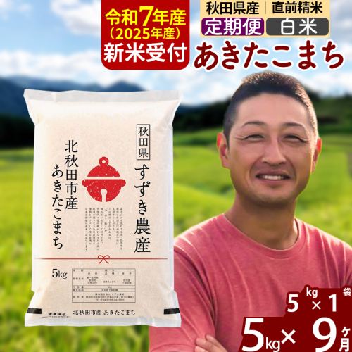※令和7年産 新米予約※《定期便9ヶ月》秋田県産 あきたこまち 5kg【白米】(5kg小分け袋) 2025年産 お届け周期調整可能 隔月に調整OK お米 すずき農産