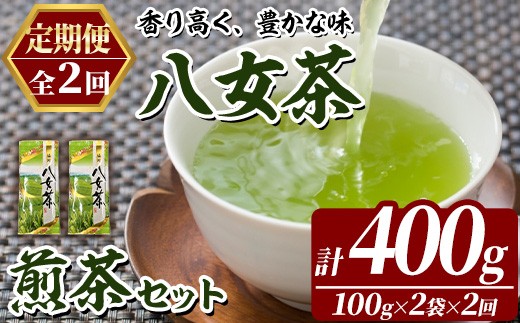 
                  ≪定期便・全2回≫八女茶 煎茶 セット (100g×2袋×毎月連続2回) 茶 お茶 八女茶 煎茶 パック 福岡県産 定期便 頒布会【木村食品】as46-061
                