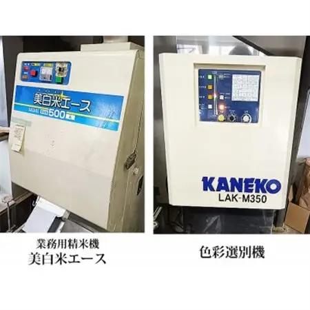 【だて正夢】宮城県産 令和7年産 精米 10kg(5kg×2袋)【1700766】