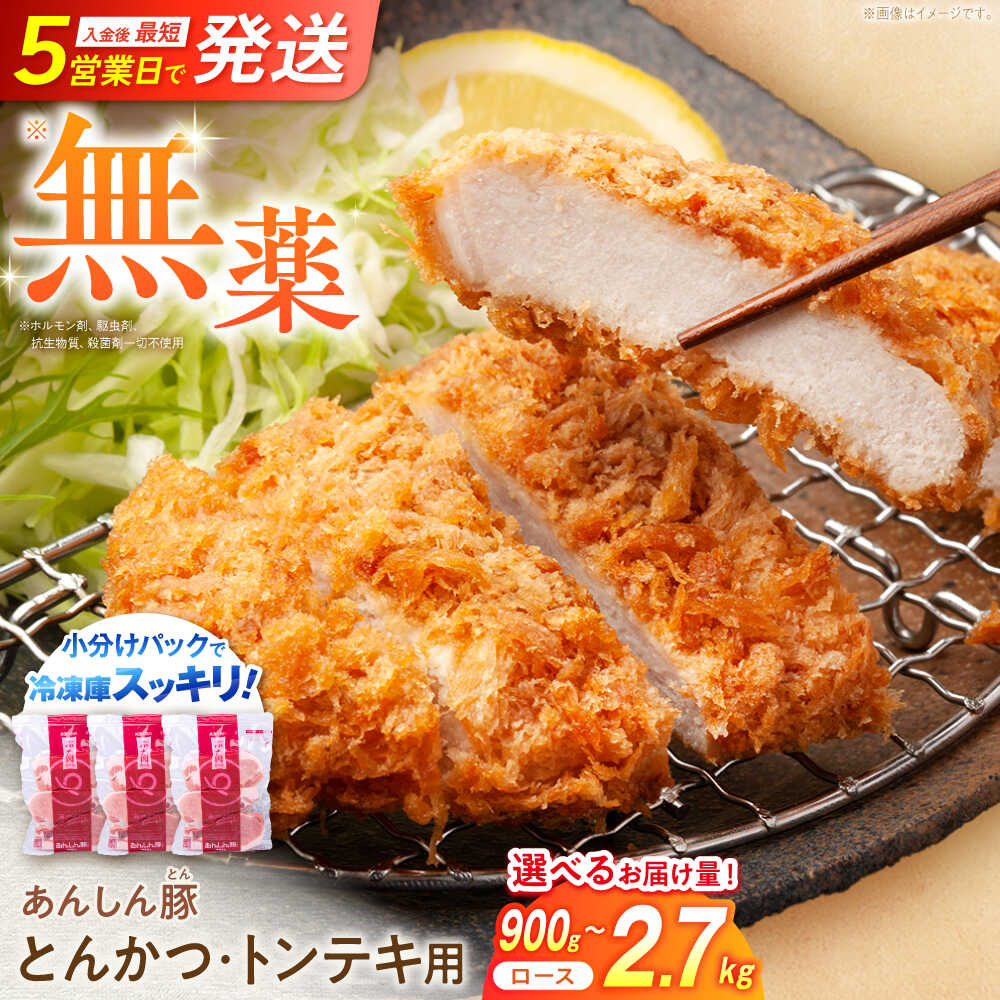【ふるさと納税】【容量が選べる！】あんしん豚 とんかつ ・ トンテキ用 ロース 豚肉 小分け トンカツ とんてき 冷凍 白川町 / 藤井ファーム[AWAF064]