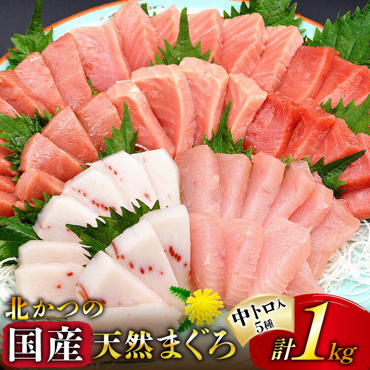 【ふるさと納税】 北かつのマグロ 中トロセット [北かつ商事 宮城県 気仙沼市 20563599] 魚 刺身 柵 鮪 まぐろ マグロ 本マグロ 南マグロ 中トロ メカジキ メバチ めばち ビンチョウ 冷凍 魚介類 魚介 新鮮 高級