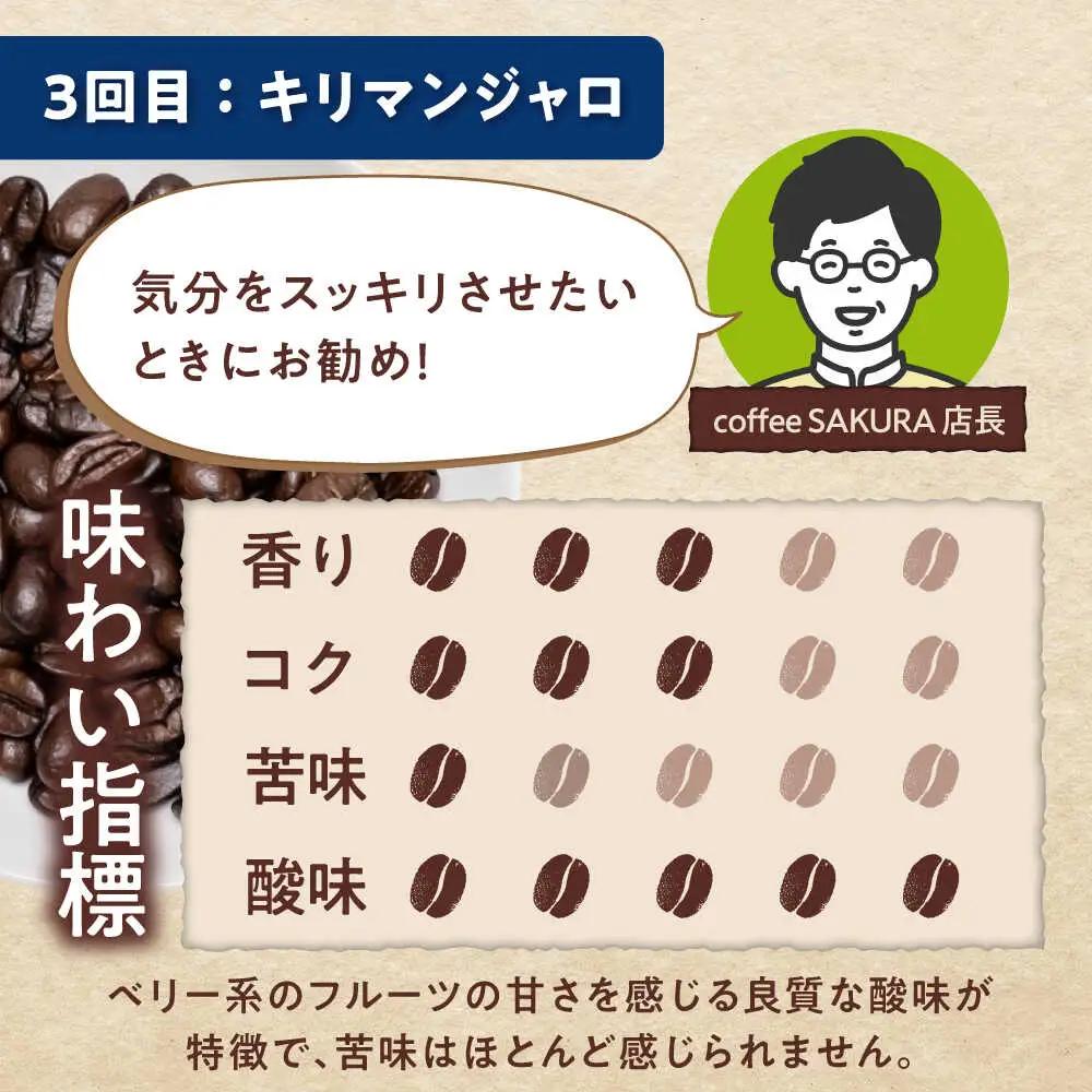 【全3回定期便】世界のコーヒー豆 おためし便(豆) / 珈琲 コーヒー / Coffee SAKURA[BBAB154]