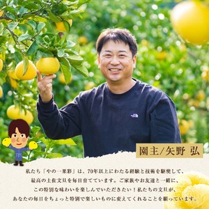 園主こだわりの土佐文旦5キロ 小玉（L - Mサイズ） 2024年1月下旬より順次発送 ぶんたん ブンタン 柑橘 みかん フルーツ 果物 お取り寄せ 土佐 高知 やの一果彩