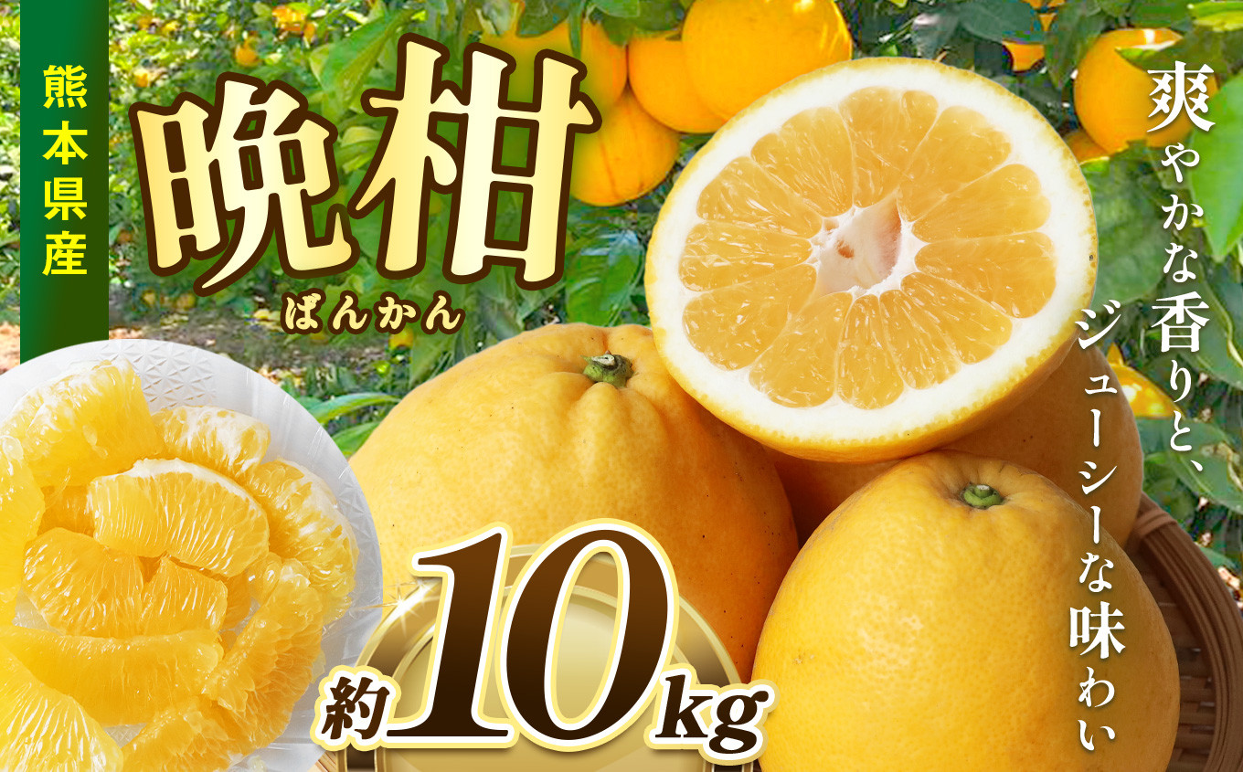 
            熊本県産 晩柑 約10㎏ ｜ 果物 くだもの フルーツ 柑橘 柑橘類 みかん ミカン 晩柑 和製グレープフルーツ 熊本県 玉名市
          