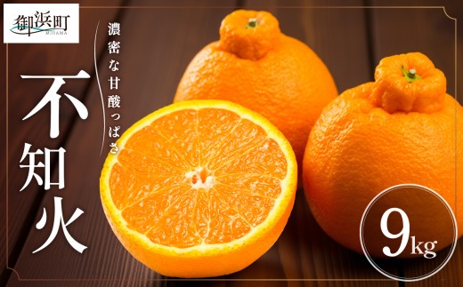 【2026年発送 先行予約品】濃密な甘酸っぱさ！ミカファームの不知火9キロ【数量限定 果物 フルーツ みかん 不知火 しらぬい デザート 9kg 三重県 御浜町】