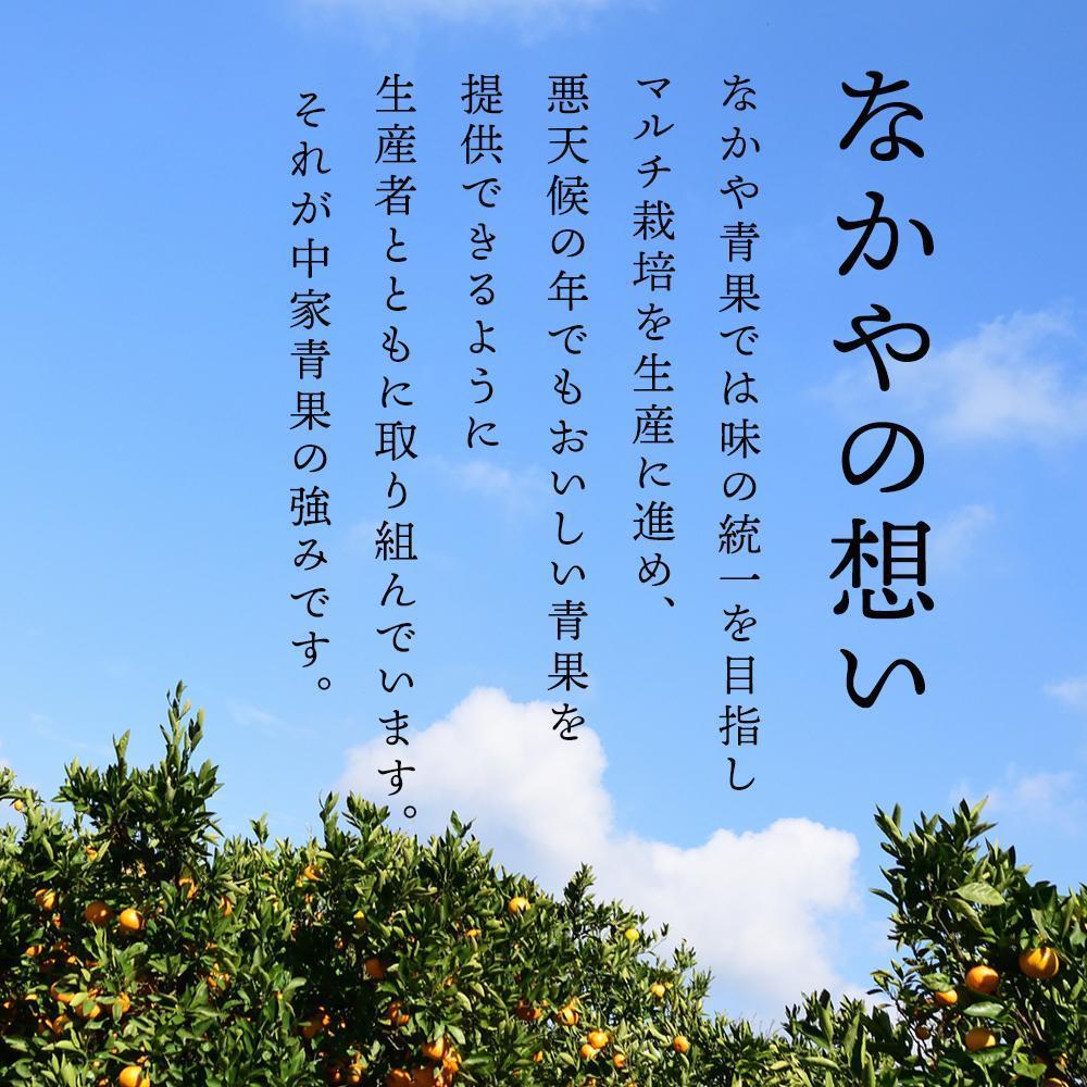 和歌山県産 糖度 9.5度以上 訳あり みかん 7kg 傷み補償+200g 3S ～ 2Lサイズ混合［MG58］AB96140_イメージ2
