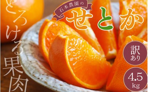 【先行予約】【訳あり品】石本農園の せとか 4.5kg M-4L サイズおまかせ 【2027年2月中旬から下旬頃に順次発送予定】 / せとか みかん ミカン 蜜柑 柑橘 果物 くだもの フルーツ サイズ 不揃い 家庭用 ご家庭用 予約 人気 ジューシー 甘い