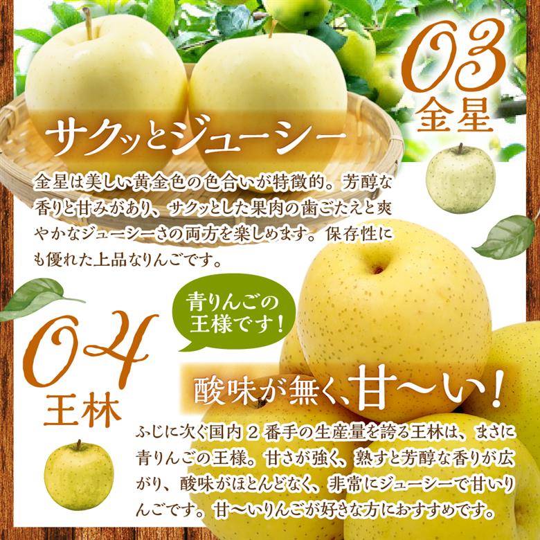 【2026年12月上旬発送】りんご　青森 食べ比べ 4品種<ふじ サンふじ 王林 金星> 5kg 程度 贈答用 青森 農家直送 サンフジ 青森県 五所川原市 贈答 セット 詰め合わせ 林檎 リンゴ a
