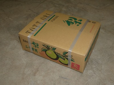 【2026年 先行予約】二十世紀梨 3kg｜鳥取 東光園 梨 2026年収穫後 2026年8月下旬から順次発送【41051】