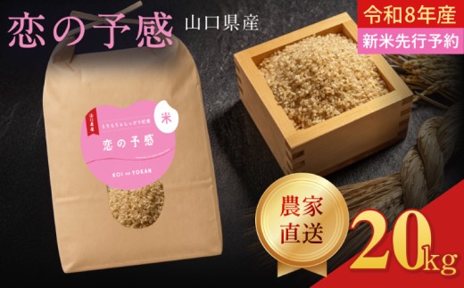 令和8年産  恋の予感 玄米 20kg (10kg×2袋)