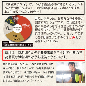 a50-140　食品添加物不使用の 浜名湖うなぎ【特大】蒲焼5尾