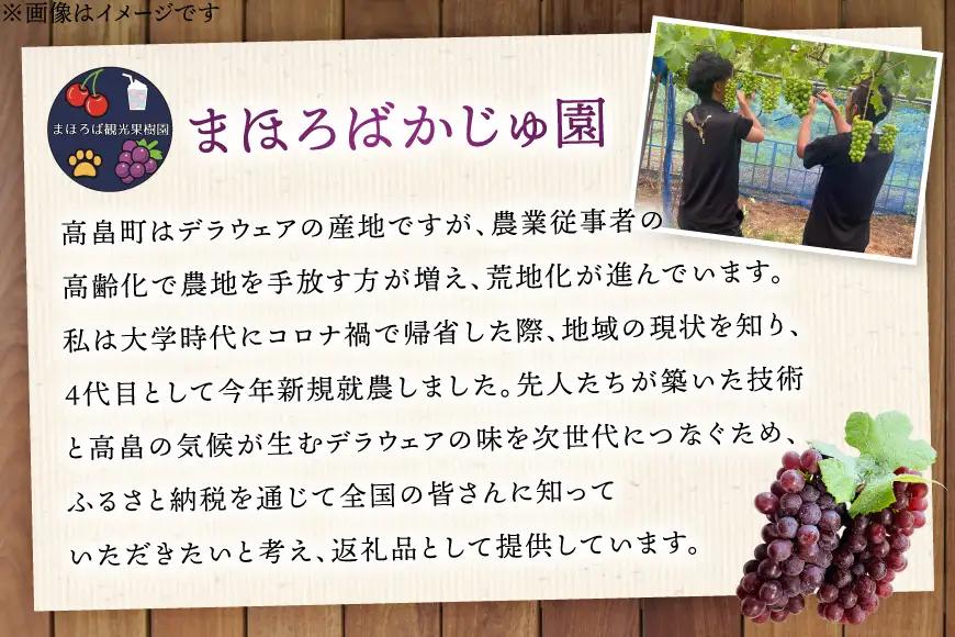 無添加 100% ぶどう ジュース 1L 2本 セット