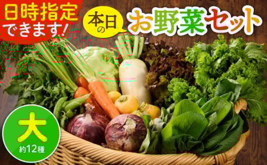 日時指定OK！本日のお野菜セット 〈大サイズ/約12種〉 4人以上用 新鮮 産地直送 野菜詰め合わせ 有機栽培 野菜 果物 野菜セット 野菜定期便 送料無料 【オーガニックのまち 宮崎県綾町】