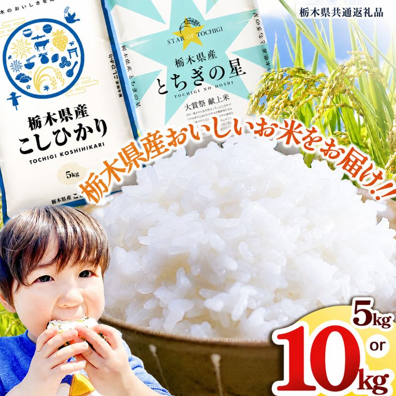 【ふるさと納税】米 選べる こしひかり とちぎの星 5kg 10kg | 令和7年産 栃木県産 コシヒカリ おすすめ 栃木県 矢板市【栃木県共通返礼品】