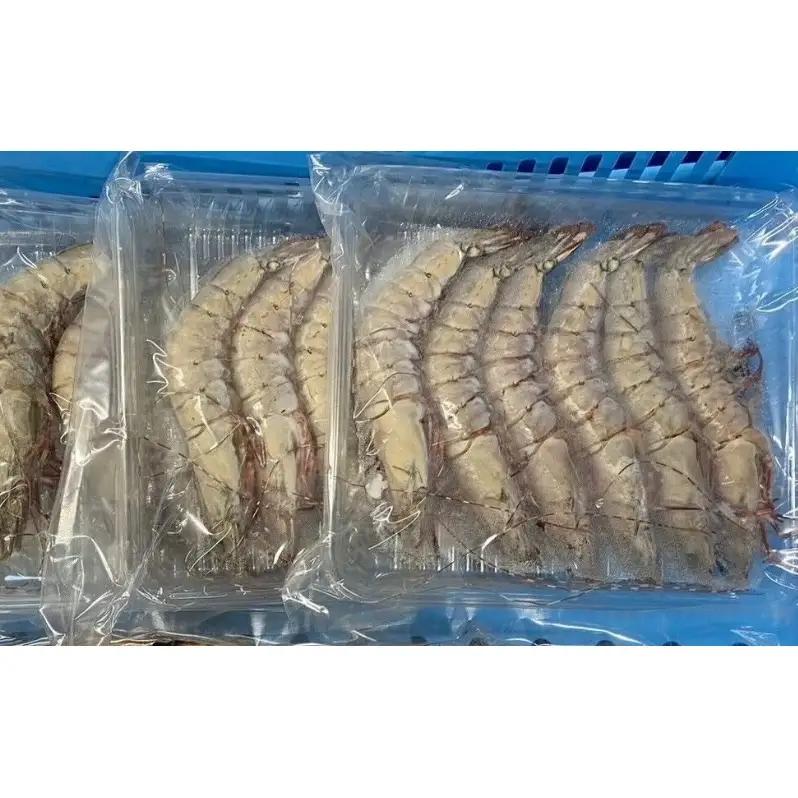 活凍結シリーズ　活凍結 足赤エビ 5～8尾×1P エビ えび 海老 魚介 海鮮 高級魚 急速凍結 鮮度保持 真空パック 便利 ギフト 贈答用 兵庫県 洲本市 淡路島