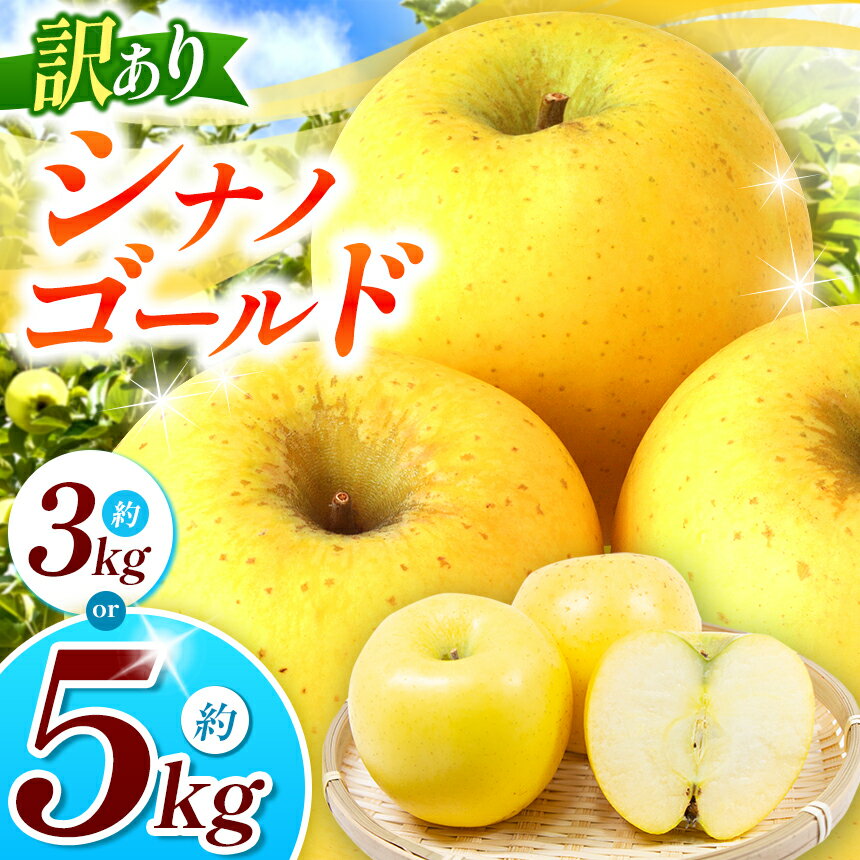 【ふるさと納税】【2025年先行予約】浅野農園 訳あり シナノゴールド 3kg ・ 5kg｜ リンゴ りんご 林檎 果物 くだもの フルーツ 果実 果汁 シナノゴールド 訳あり 長野県 松川村 信州