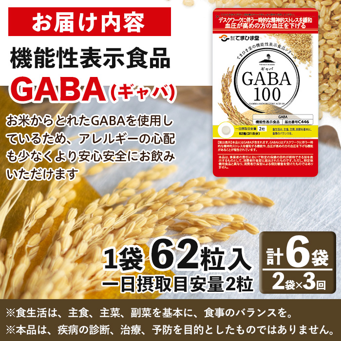No.1286-A ＜定期便・全3回(隔月)＞GABA100(1袋 62粒入・2袋×3回 計6袋) 鹿児島 日置市 健康食品 機能性表示食品 サプリ 栄養バランス 高血圧 定期便 頒布会【てまひま堂】