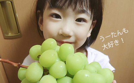 【先行予約】上村農園 (ハウス)シャインマスカット 4房から6房 (約2kg) 2025年7月中旬から8月上旬 出荷予定