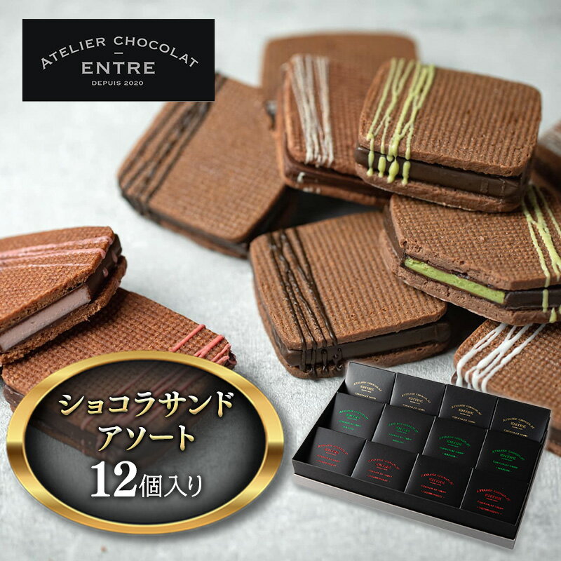 【ふるさと納税】サンドクッキー ATELIER CHOCOLAT ENTRE ショコラサンド アソート 12個 セット 詰め合わせ お菓子 おやつ 洋菓子 焼菓子 焼き菓子 クッキー チョコサンドクッキー ギフト 贈り物 プレゼント 静岡 静岡県 浜松市 【配送不可：北海道・沖縄・離島】