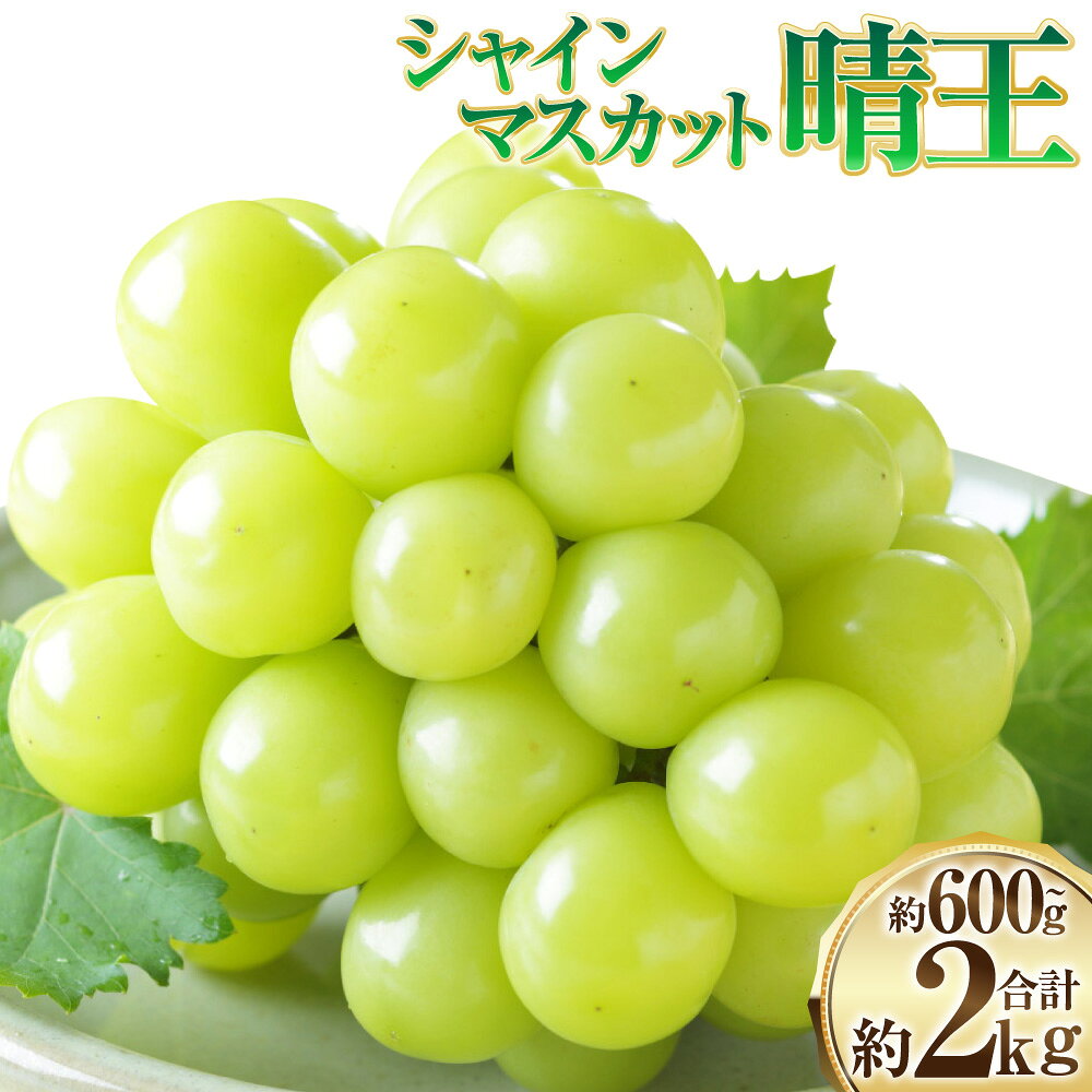 【ふるさと納税】【選べる内容量】シャインマスカット 晴王 1房 2房 3～6房 約600g 約1kg 約2kg【2026年8月下旬～11月下旬迄発送】 岡山 おかやま 種無し 種なし マスカット 果物 くだもの フルーツ ぶどう ブドウ 葡萄 デザート 岡山県 奈義町 送料無料