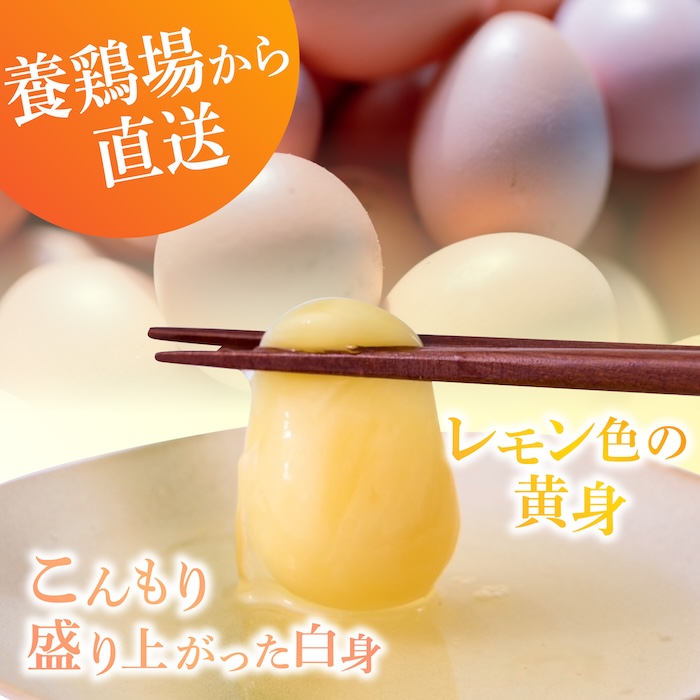 【家族に食べさせたい】平飼い 山もりたまご 20個 安心安全 おいしさに感動 たまご 卵 高級卵 平飼い 安心安全 飼料にこだわり 成長剤 ホルモン剤 添加物不使用