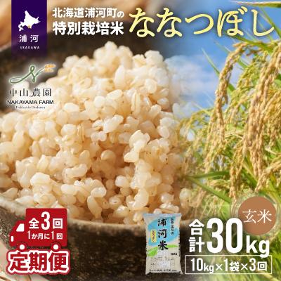 ふるさと納税 浦河町 北海浦河の特別栽培米「ななつぼし」玄米(10kg×1袋)定期便全3回[37-1055]