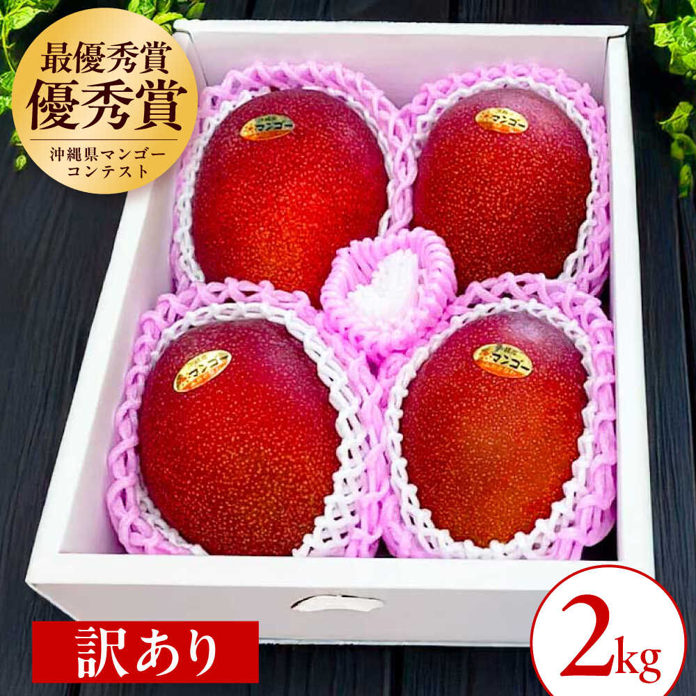 【ふるさと納税】【2026年発送】仲村農園の 完熟アップルマンゴー ( 訳あり ) 2kg