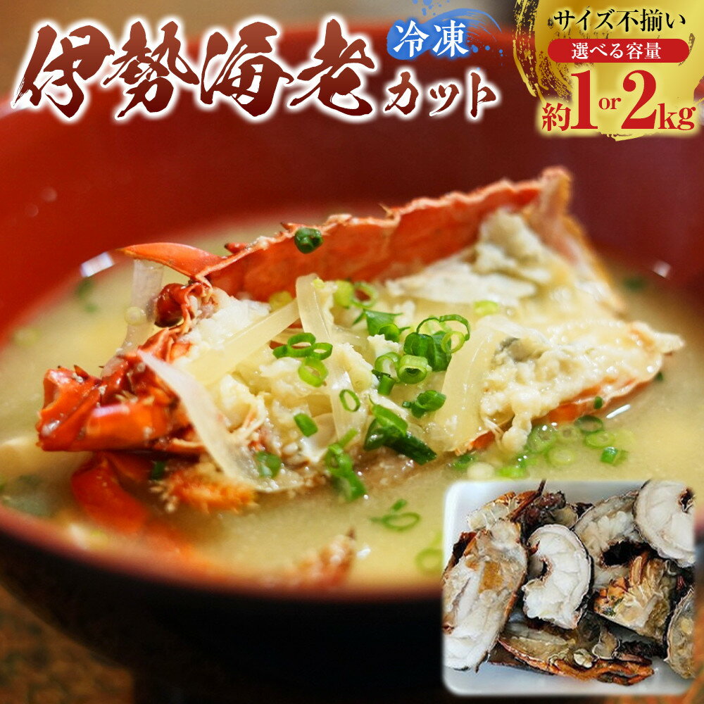 【ふるさと納税】冷凍伊勢海老カット約1kg or 約2kg（サイズ不揃い） | 和歌山県 和歌山 九度山町 楽天ふるさと 納税 返礼品 支援品 お取り寄せグルメ お取り寄せ 取り寄せ グルメ 魚介類 魚介 海鮮 海の幸 伊勢エビ 伊勢海老 イセエビ 伊勢えび 冷凍 特産品 名産品 ご当地