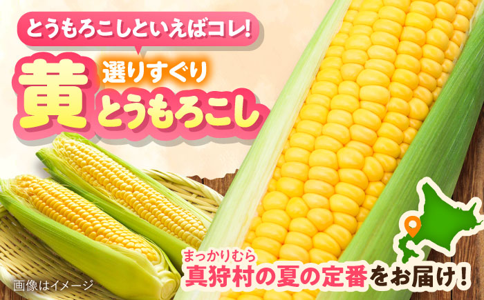 【2026年8月下旬以降順次発送】 とうもろこし（黄）5kg  |  とうもろこし とうきび トウモロコシ コーン 野菜 やさい 北海道 産地直送 |  道の駅 真狩フラワーセンター [BPAM020