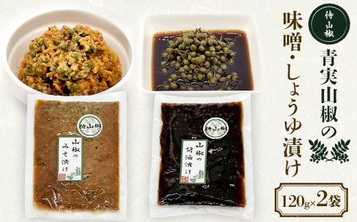 侍山椒 青実山椒の味噌・しょうゆ漬け 各種120g 味噌漬け しょうゆ漬け 発酵食品 食品 F4D-2206