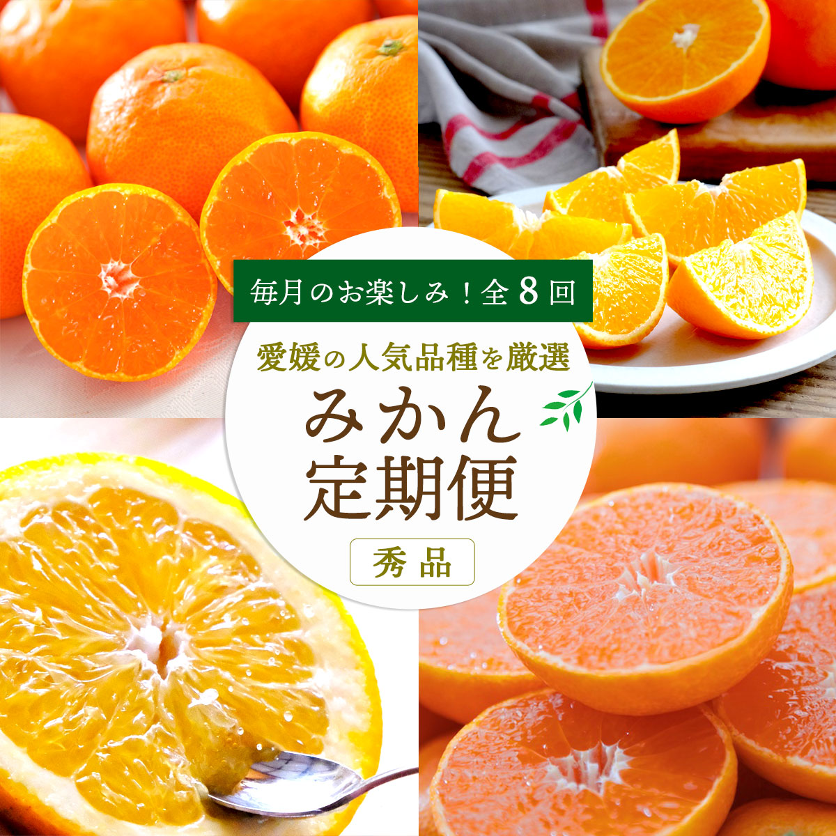 【発送月固定定期便】愛媛の人気品種を厳選! みかん定期便(秀品)全8回【H25-116】【4001037】 YWTAP059