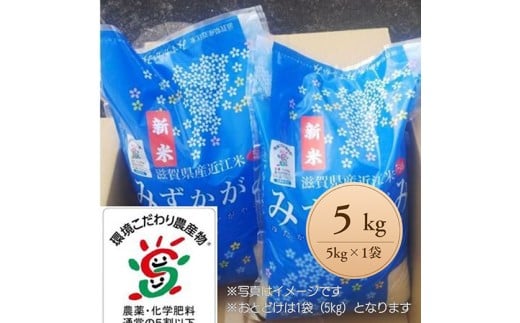 【新米】【7年産】滋賀県近江米「みずかがみ」【環境こだわり米】白米5kg(5kg×1袋)【FM05W】