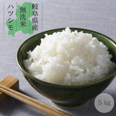 ふるさと納税 大野町 令和7年産 岐阜県産 無洗米 はつしも 5kg