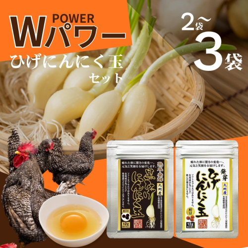 【ふるさと納税】【ポスト投函】ひげにんにくの伝統製法 選べるセット